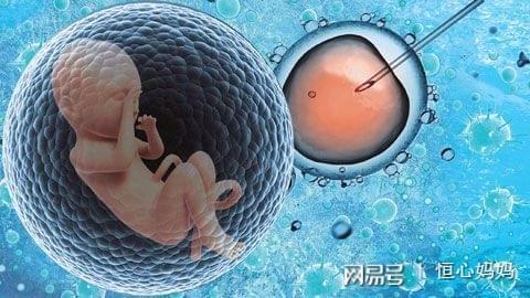首席专家